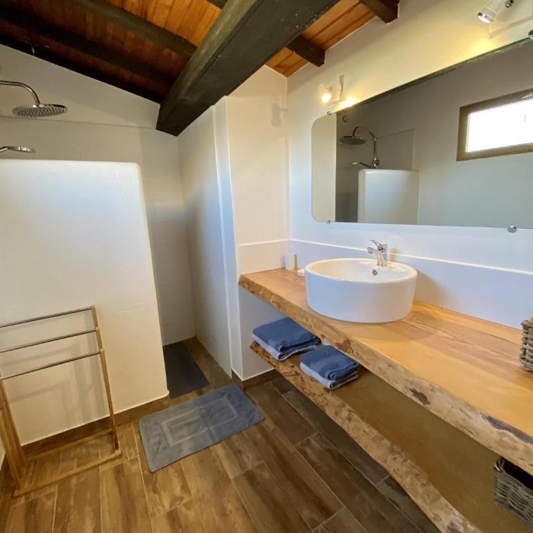 Domaine de Livière-Haute Narbonne - Maison 4 Chambres - 17