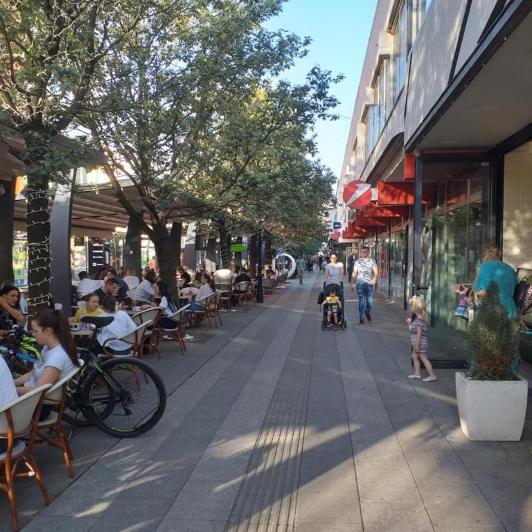 Trosoban apartman Sarajevo, Ilidza centar - Apartman sa 2 Spavaće Sobe - 67