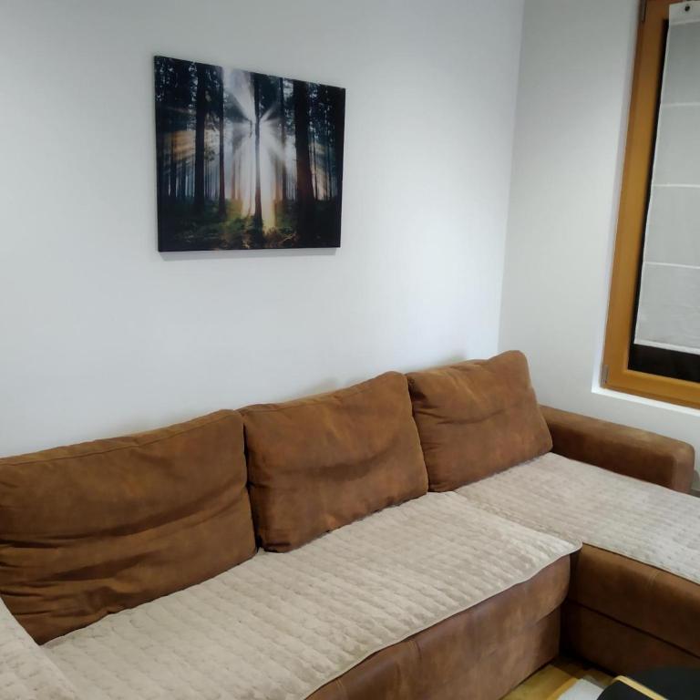 Apartman Branka - One-Bedroom Apartment - 1