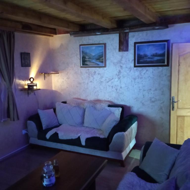 Villa Zagorka and mountain houses A, M, D - Vacation Home - 12