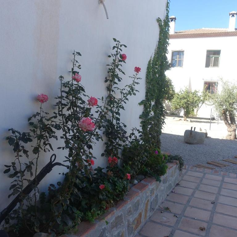 Galwey, tourist appartments with WIFI - Apartamento de 1 dormitorio - 14