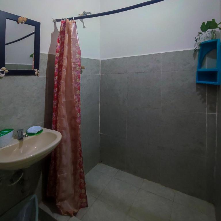 Hostal Palomino EcoHouse & Camping - Habitación Compartida Mixta - 6