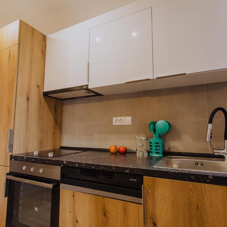 Divcinova Moderan A10 - Apartman sa 1 Spavaćom Sobom - 47