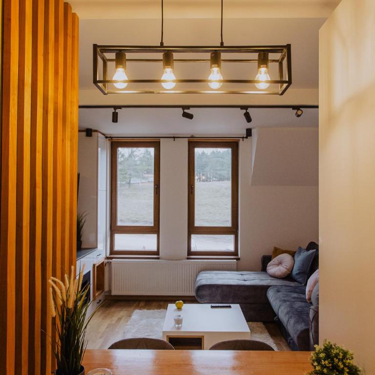 Divcinova Moderan A10 - Apartman sa 1 Spavaćom Sobom - 49