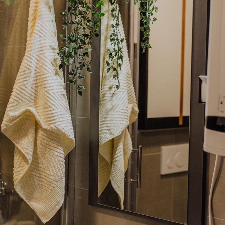Divcinova Moderan A10 - Apartman sa 1 Spavaćom Sobom - 54