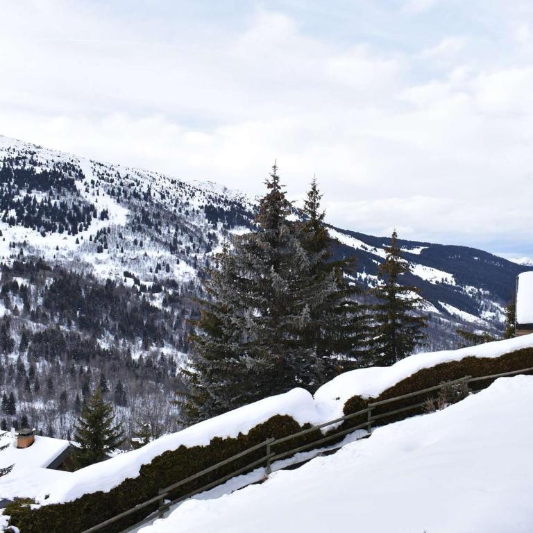 Studio cosy au pied des pistes à Méribel – Balcon, TV, animaux acceptés, ski à 100 m ! - Appartamento con 1 Camera da Letto - 21