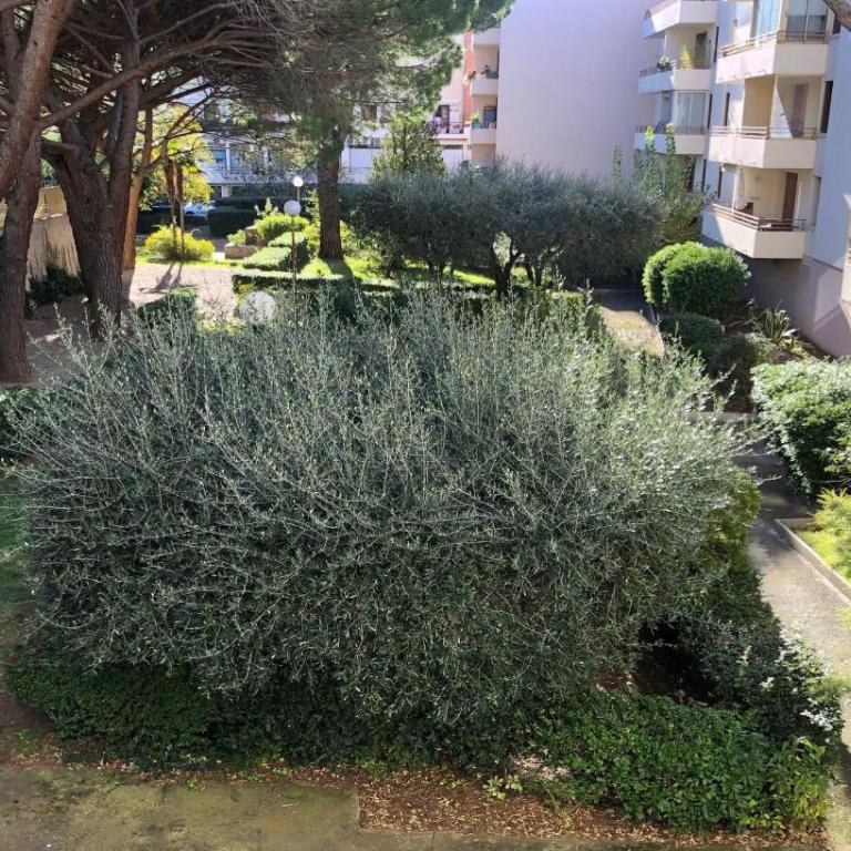 Le Nautilus - Apartment with Garden View - 15