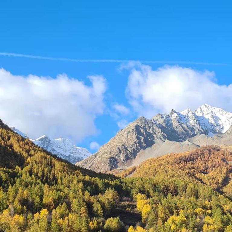 Les Suites du Monetier, alliant le charme et l'authenticité d'un chalet de prestige au cœur du village - Appartement - 14