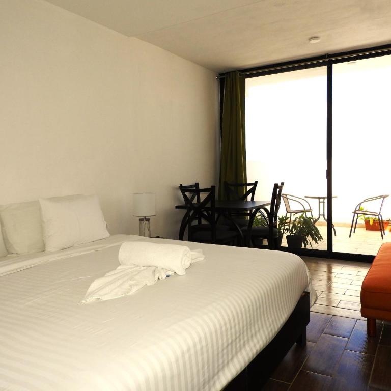 Studios with roofpool in Vanessa 24 - Estudio con terraza - 10