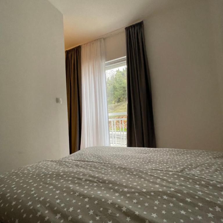 Hills Apartments - One-Bedroom Apartment - 21