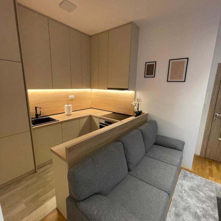 Hills Apartments - One-Bedroom Apartment - 10