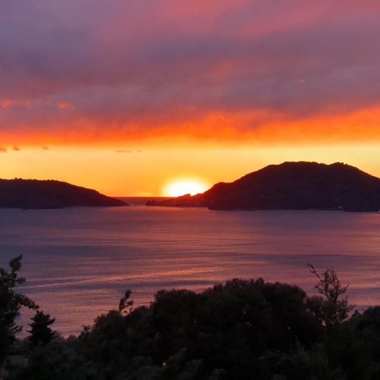Lerici Natural Suite - Appartamento con 1 Camera da Letto - 27