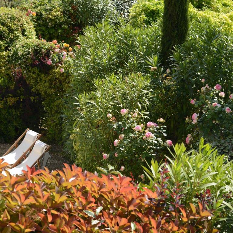 La Maison de Line - Cottage Standard - 4