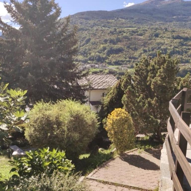 La maison de Carmen - Villa - 52