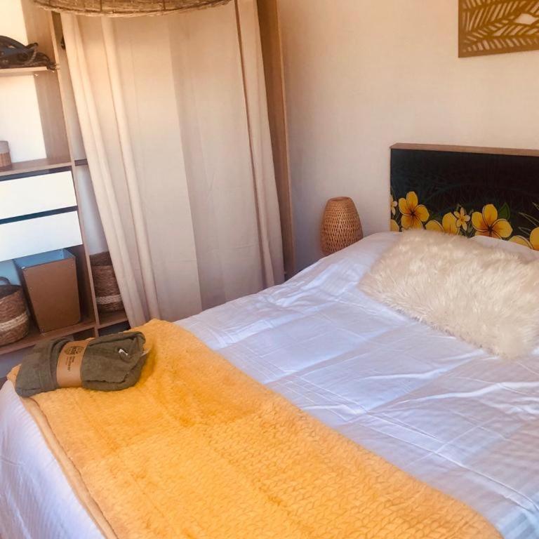 Le camélia - Appartement 1 Chambre - 9