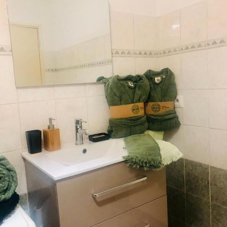 Le camélia - Appartement 1 Chambre - 11