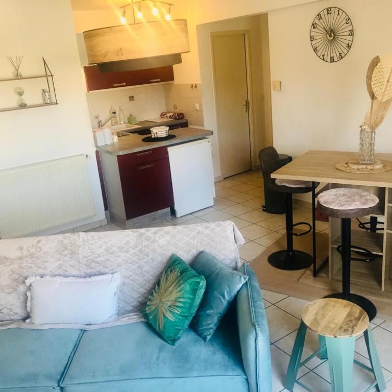 Le camélia - Appartement 1 Chambre - 14