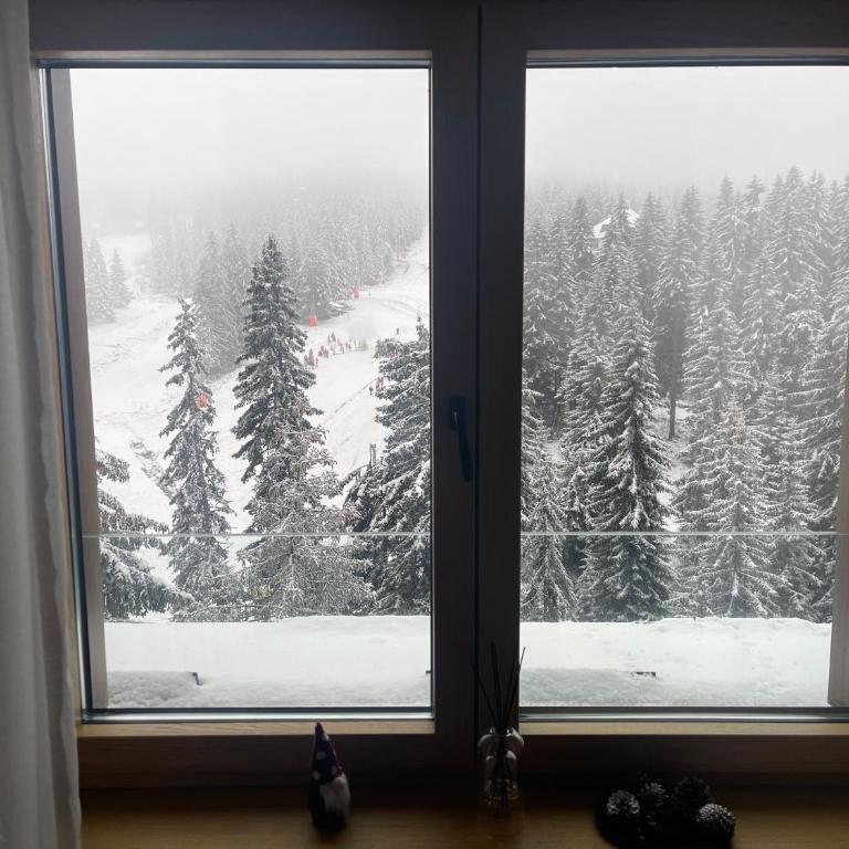 Woodside Duplex Apartment Ski in Ski out with garage - Deluxe Apartment - 5