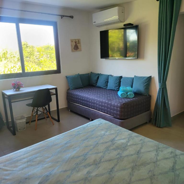 Hotel Oasis-Dream Holidays - La Petite France - Habitación Doble Deluxe (2 adultos + 1 niño) - 9
