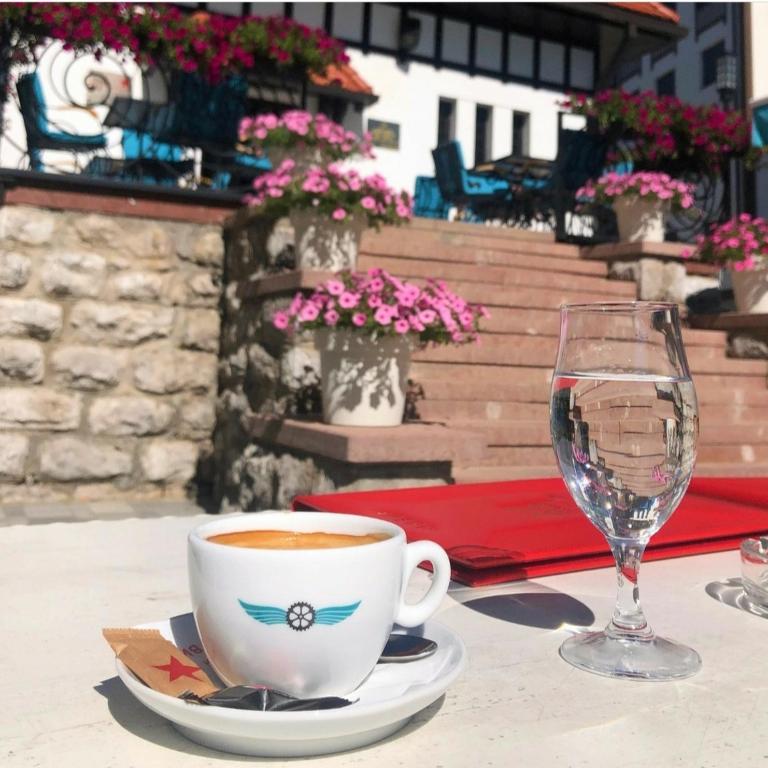 Apartman "MiLa" - Titova vila Zlatibor - Apartman sa 1 Spavaćom Sobom - 16