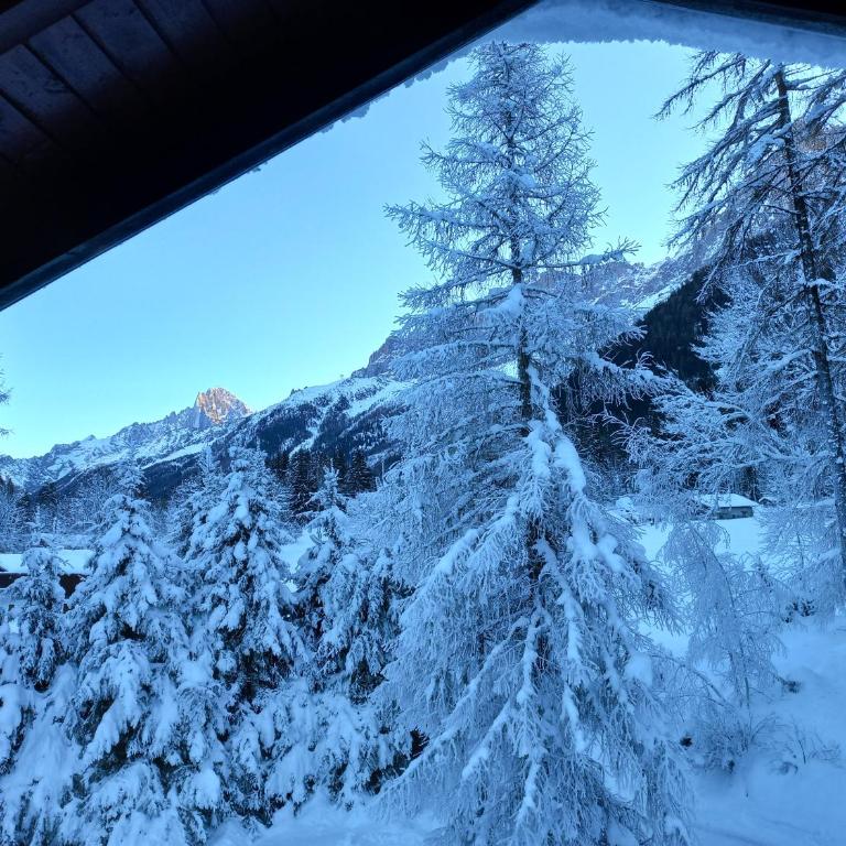 Chalet Les Charmilles - Vallée de Chamonix - 5 chambres - Chalet - 48
