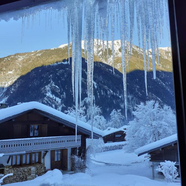 Chalet Les Charmilles - Vallée de Chamonix - 5 chambres - Chalet - 49