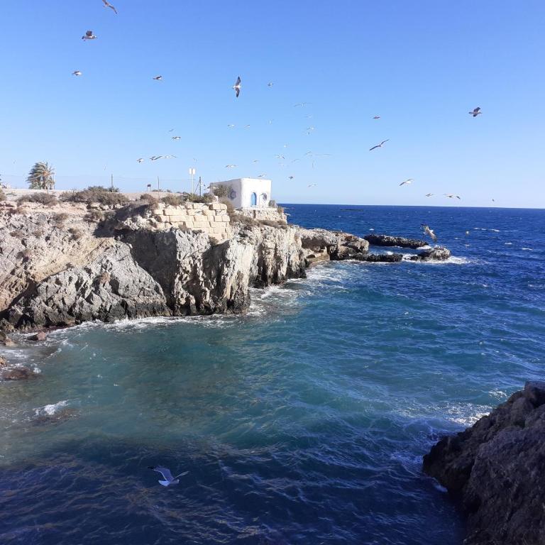 Apartamento Santa Pola, en Playa del Tamarit con piscina. - Apartamento de 2 dormitorios - 50