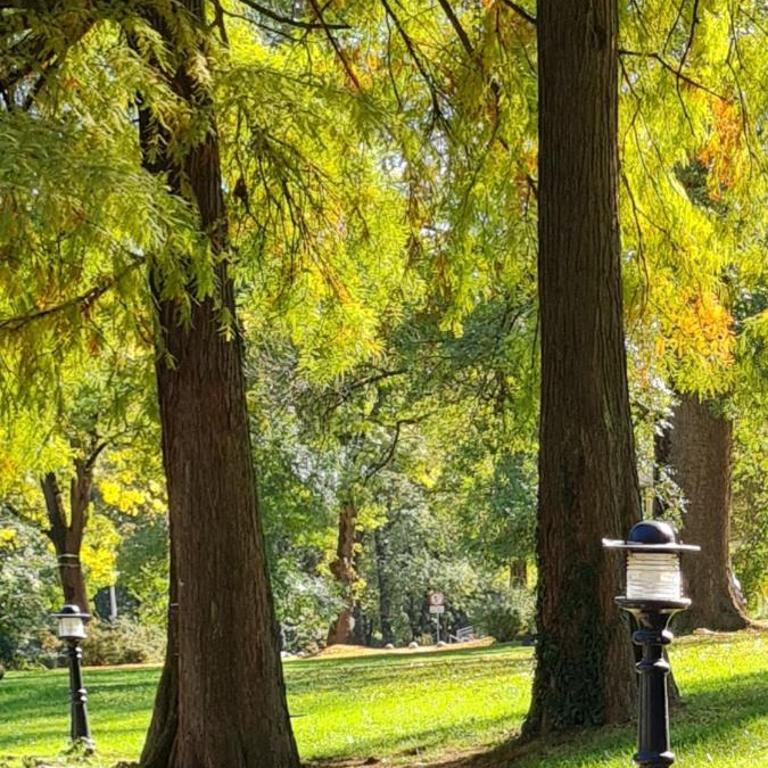 Apartman TIM LUX 2 - One-Bedroom Apartment - 34