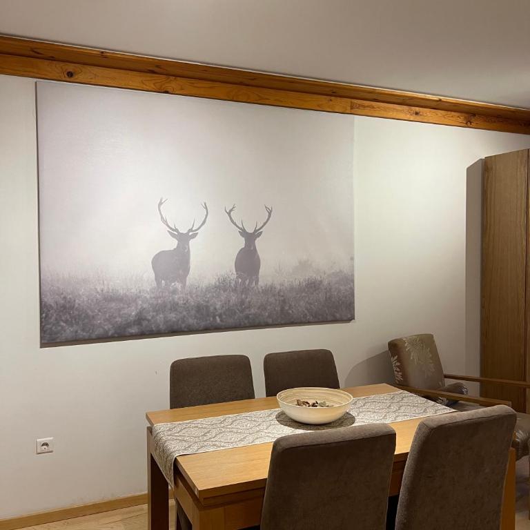 Apartman 206 Jahorina - Hotel Vucko - One-Bedroom Apartment - 13