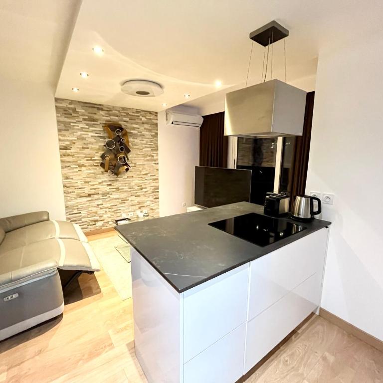 GUEST-K President - Grenoble Centre - Appartement 1 Chambre - 8