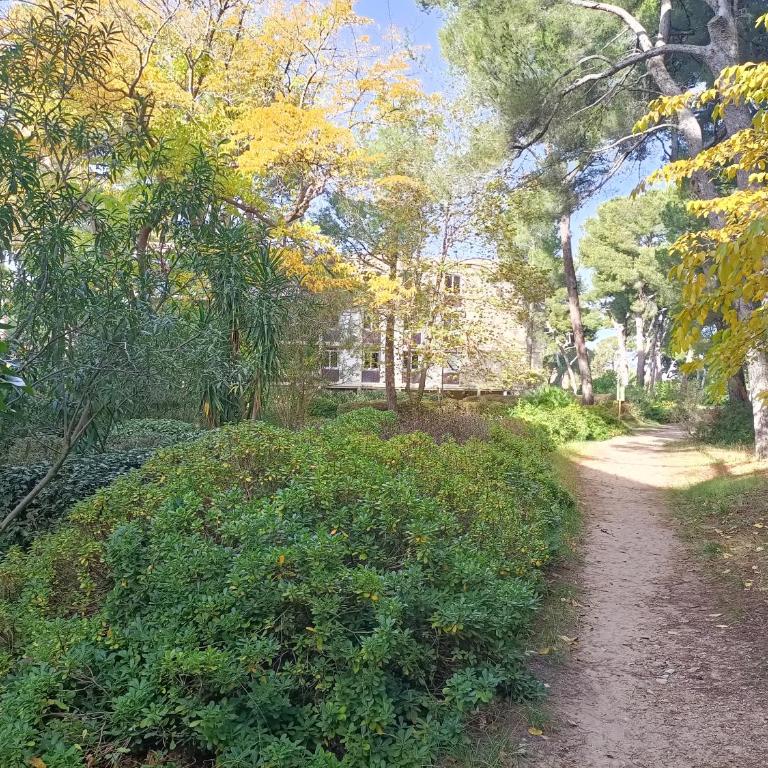 VUE MER et montagne dans parc du roy d'espagne, Up to 7 people - Apartment - 26