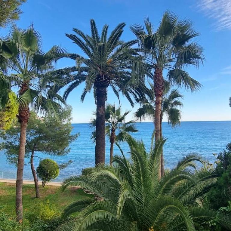 Appartement de luxe Eze village vue mer avec piscine - Appartement 1 Chambre - 18