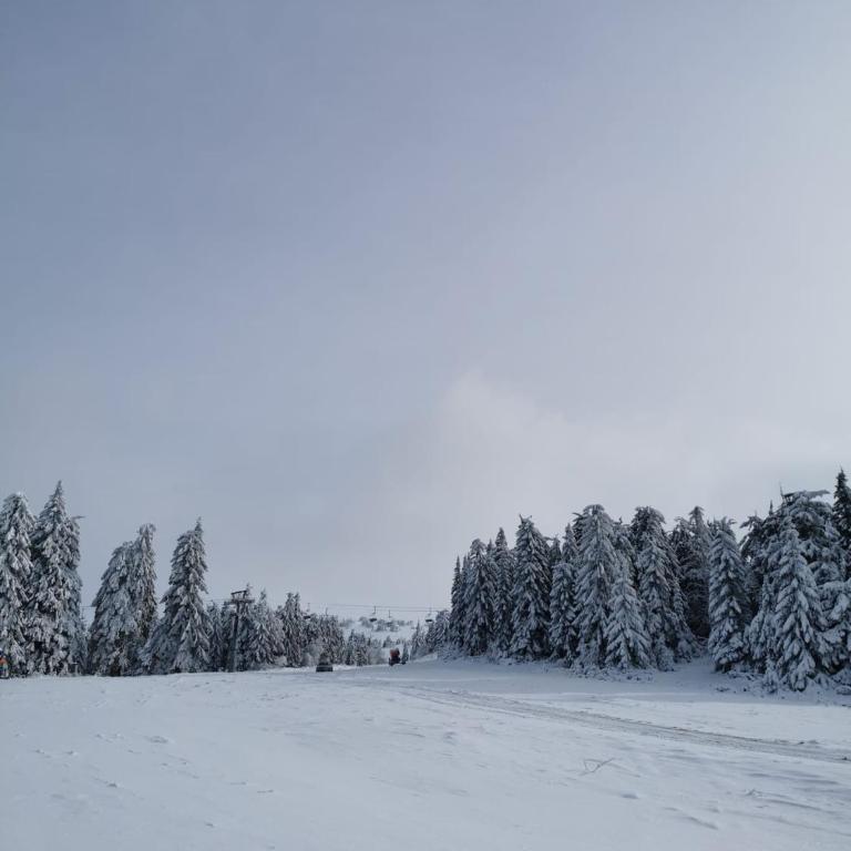 MILMARI STAR S71 LUX - Apartman sa 1 Spavaćom Sobom - 46