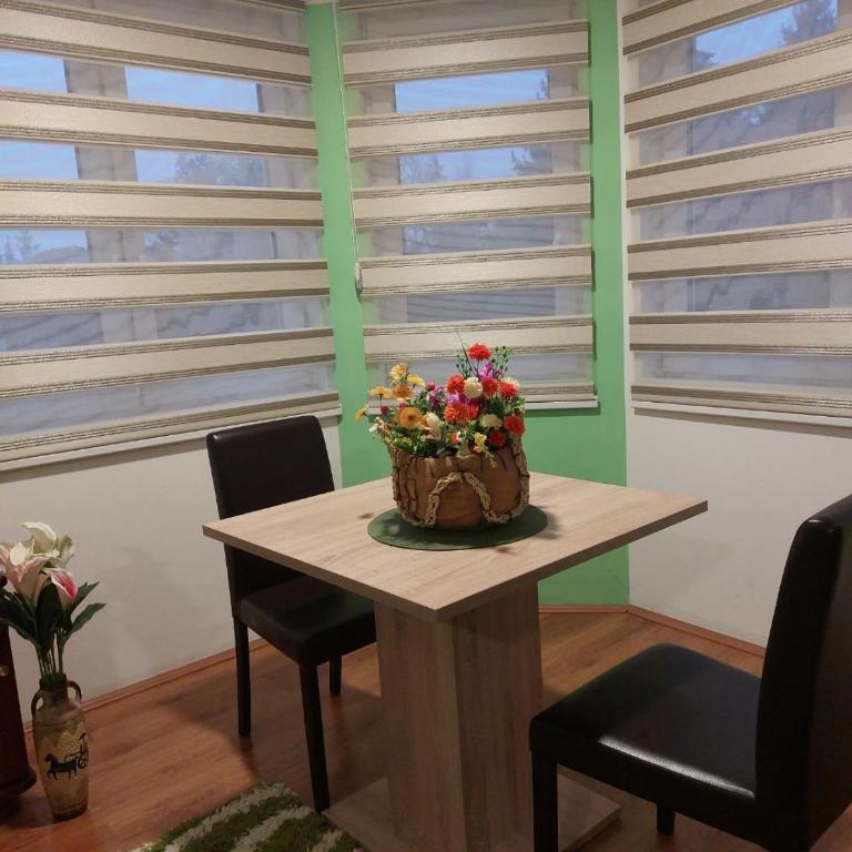 Apartmani KNEŽEVIĆ - Apartment with Mountain View - 4