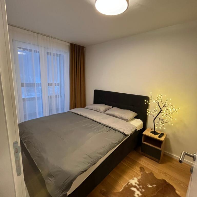 Staza Ski Apartment - One-Bedroom Apartment - 12