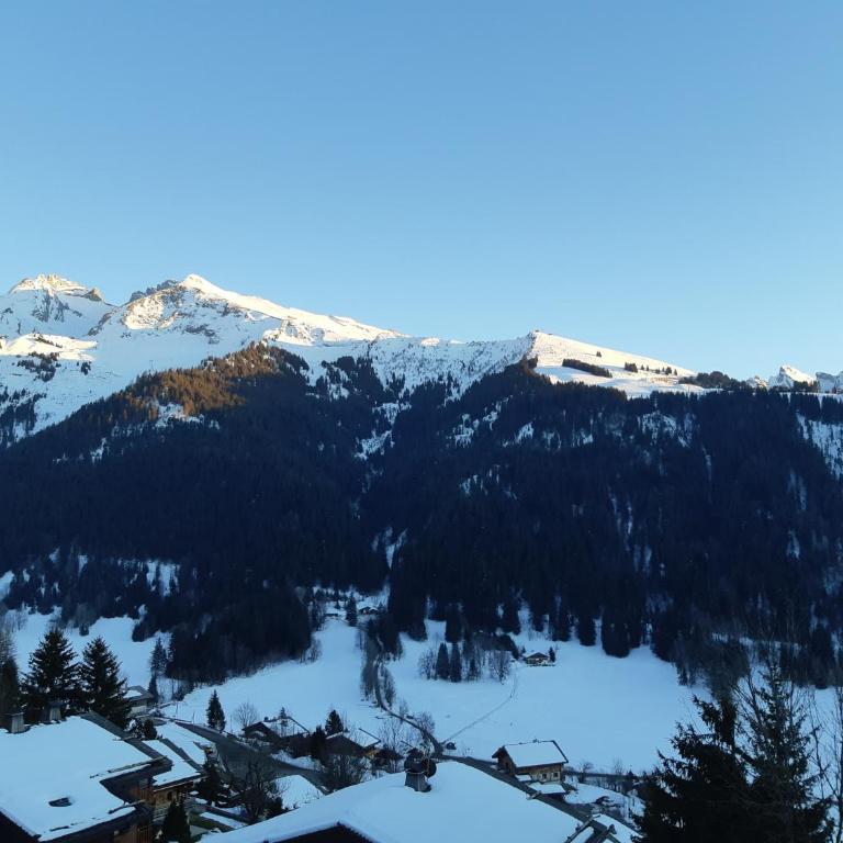 Le Soladret - La Clusaz - Vue extraordinaire sur les Aravis - 4 étoiles - Appartamento con Vista Montagna - 30
