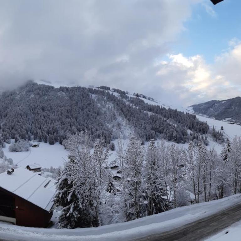 Le Soladret - La Clusaz - Vue extraordinaire sur les Aravis - 4 étoiles - Appartamento con Vista Montagna - 28