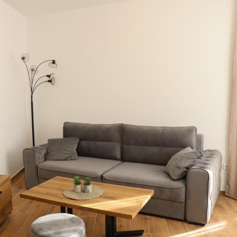 Nivalis Hill 10 - One-Bedroom Apartment - 3