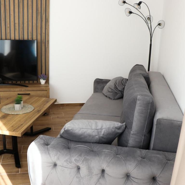 Nivalis Hill 10 - One-Bedroom Apartment - 6