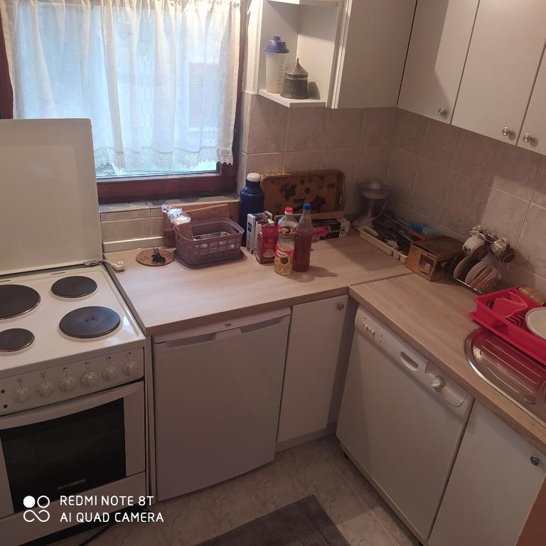 Apartman Mickey - Dvokrevetna Soba sa Bračnim Krevetom i Sopstvenim Kupatilom - 1