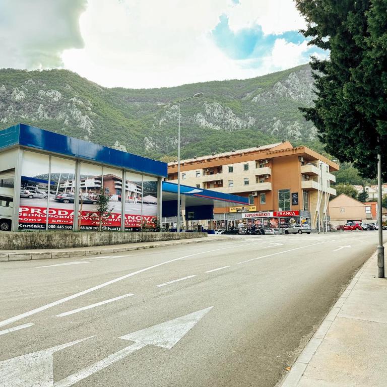 Sea view apartment in Kotor ! Apartment Popica - Apartman sa 1 Spavaćom Sobom - 14