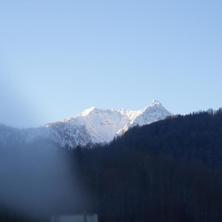 Bergblick 411 am Wolfgangsee - Apartment with Mountain View - 62