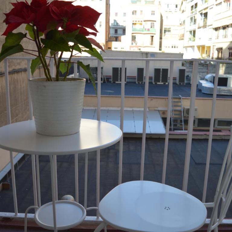 Somnio Hostels - Single Room with Shared Bathroom - 8
