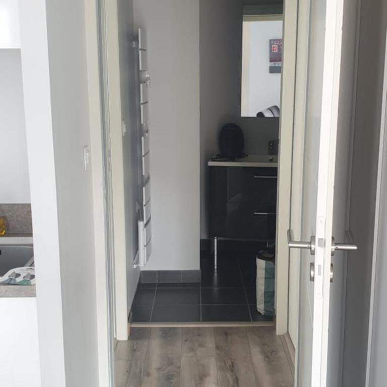 Appartement T2 45 m² en centre-ville - Apartment mit 1 Schlafzimmer - 4