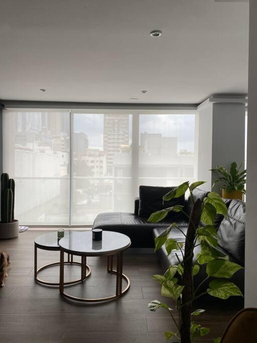Black Loft - Apartamento de 1 dormitorio - 36