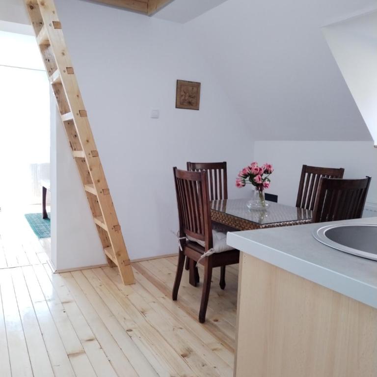 Vila Gala - Apartman sa 1 Spavaćom Sobom - 3