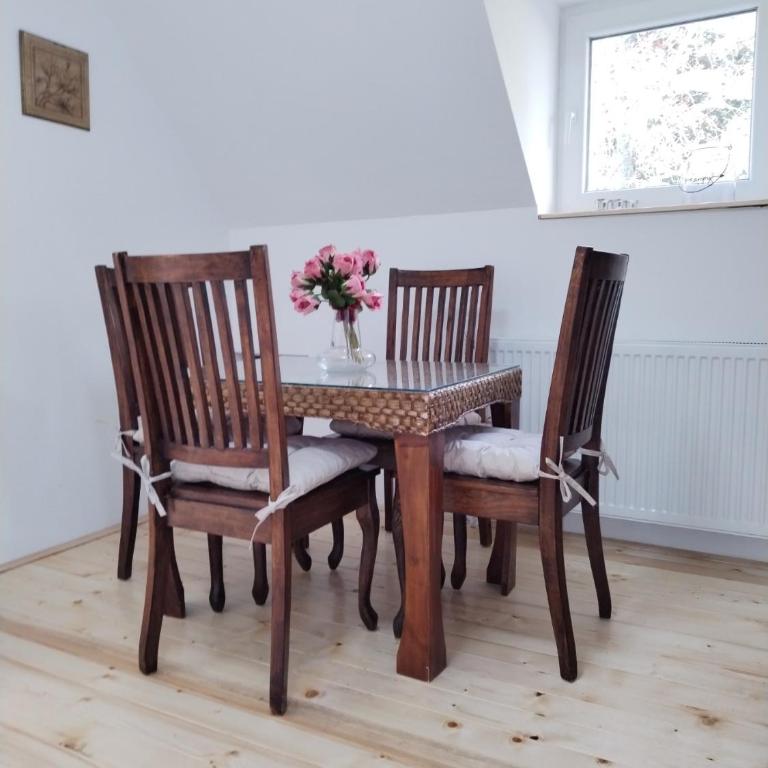 Vila Gala - Apartman sa 1 Spavaćom Sobom - 4