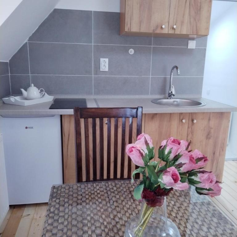Vila Gala - Apartman sa 1 Spavaćom Sobom - 5