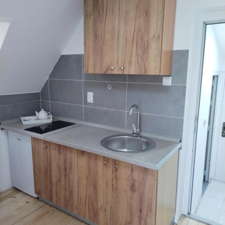 Vila Gala - Apartman sa 1 Spavaćom Sobom - 6