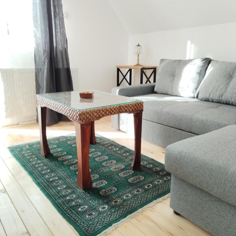 Vila Gala - Apartman sa 1 Spavaćom Sobom - 7
